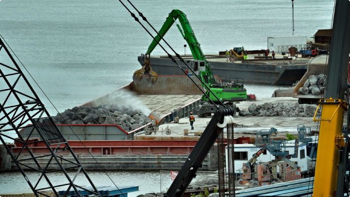 Port facility with dust cannon misting bulk cargo