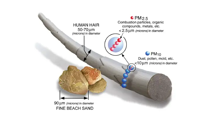 Fugitive dust particle size comparison